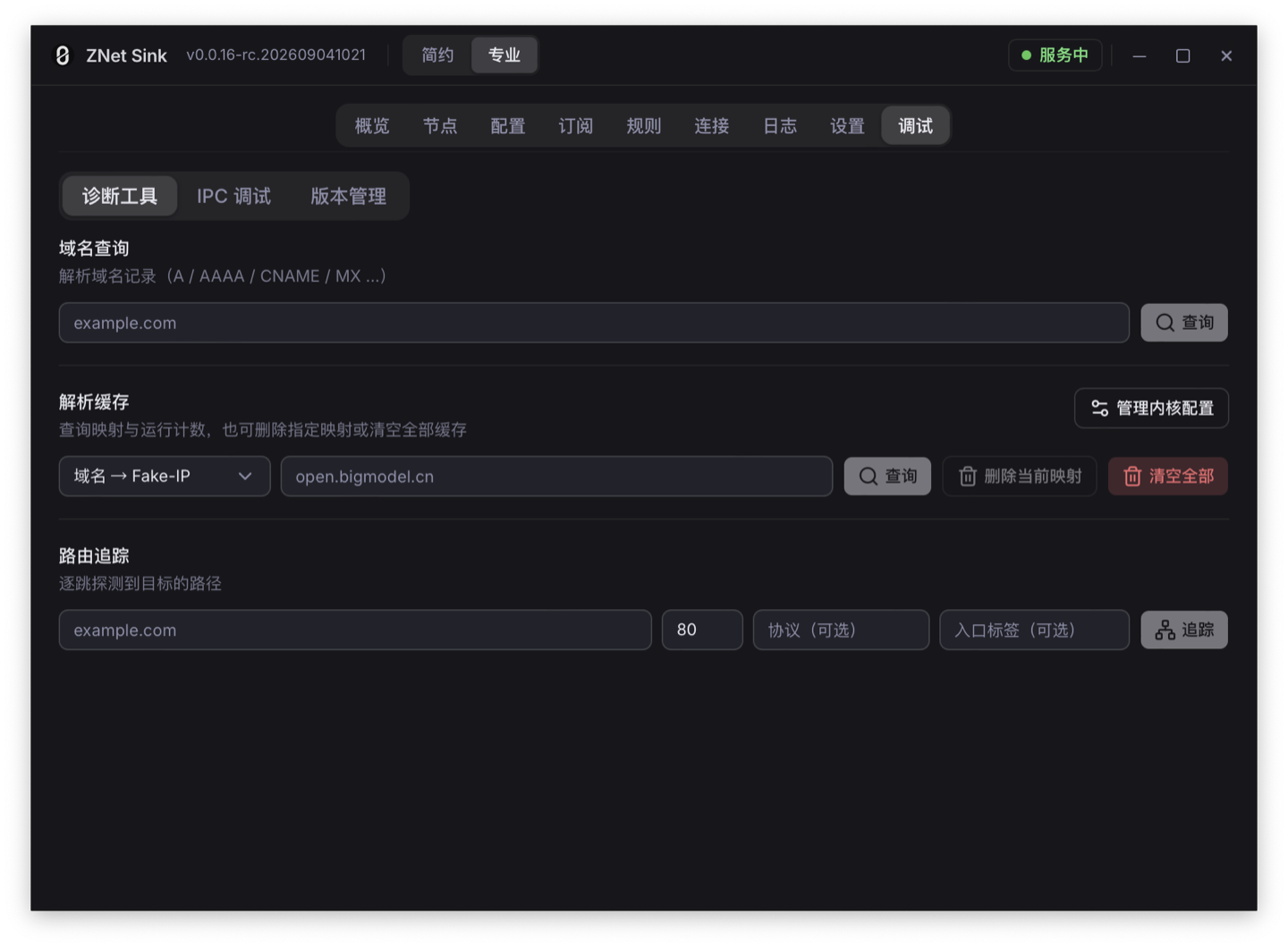 ZNet Sink 诊断工具页面,包含 DNS 查询、缓存管理和路由追踪