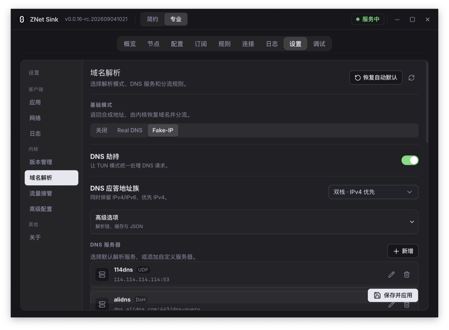 ZNet Sink 专业模式中的 DNS 与 Fake-IP 设置界面
